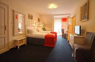 Курортные отели Osada Danków Миломлын Улучшенный двухместный номер с 1 кроватью или 2 отдельными кроватями-2